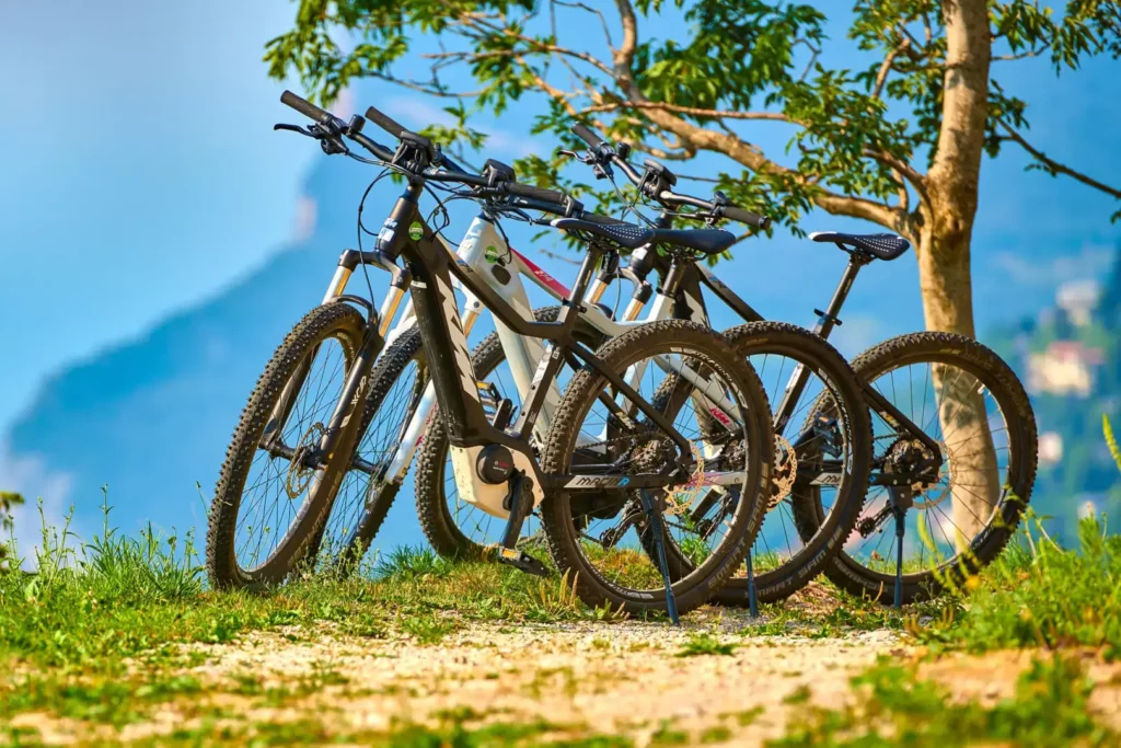 Biciclette montagna appoggiate albero, sfondo collinare.