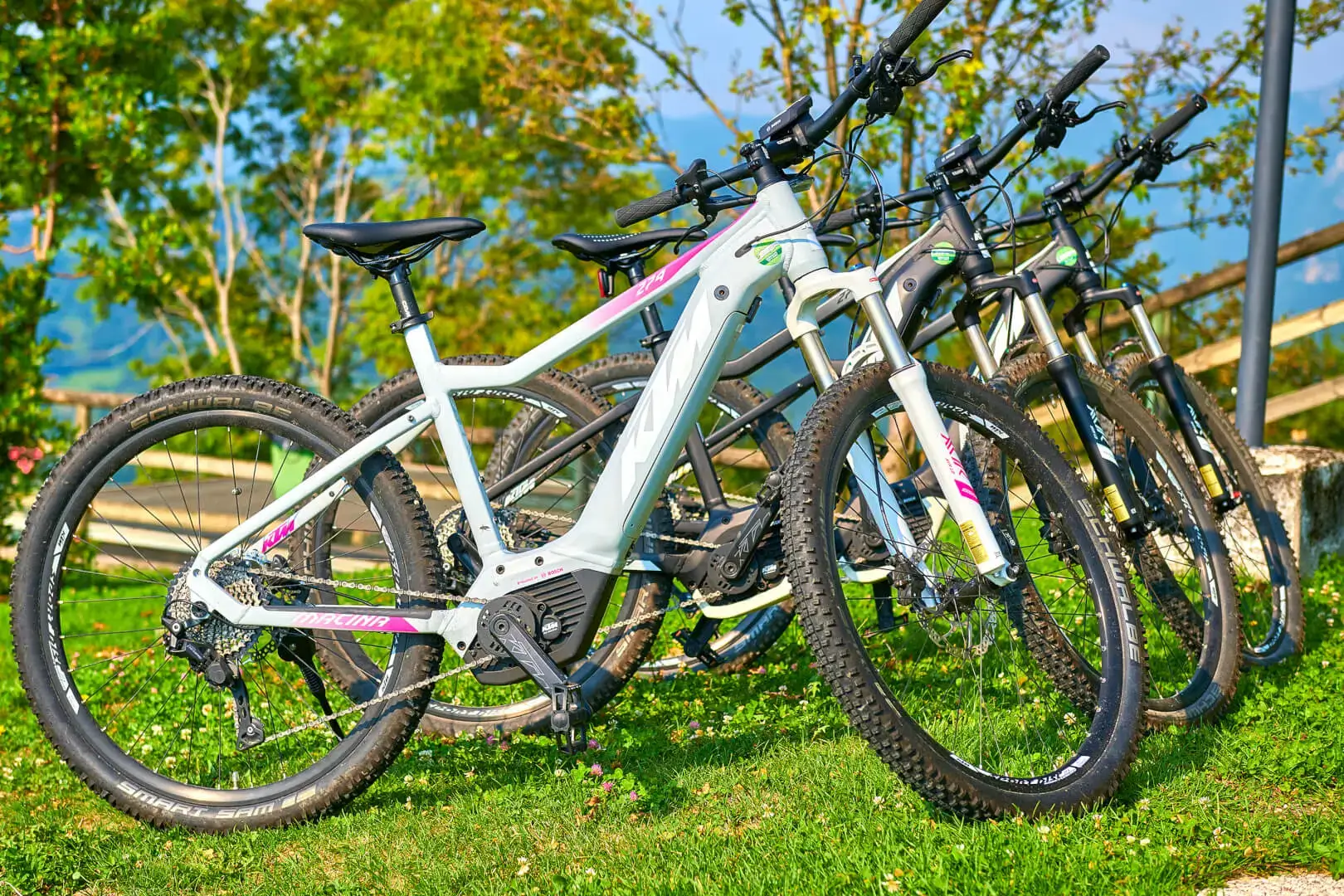 Biciclette elettriche parcheggiate all'aperto.