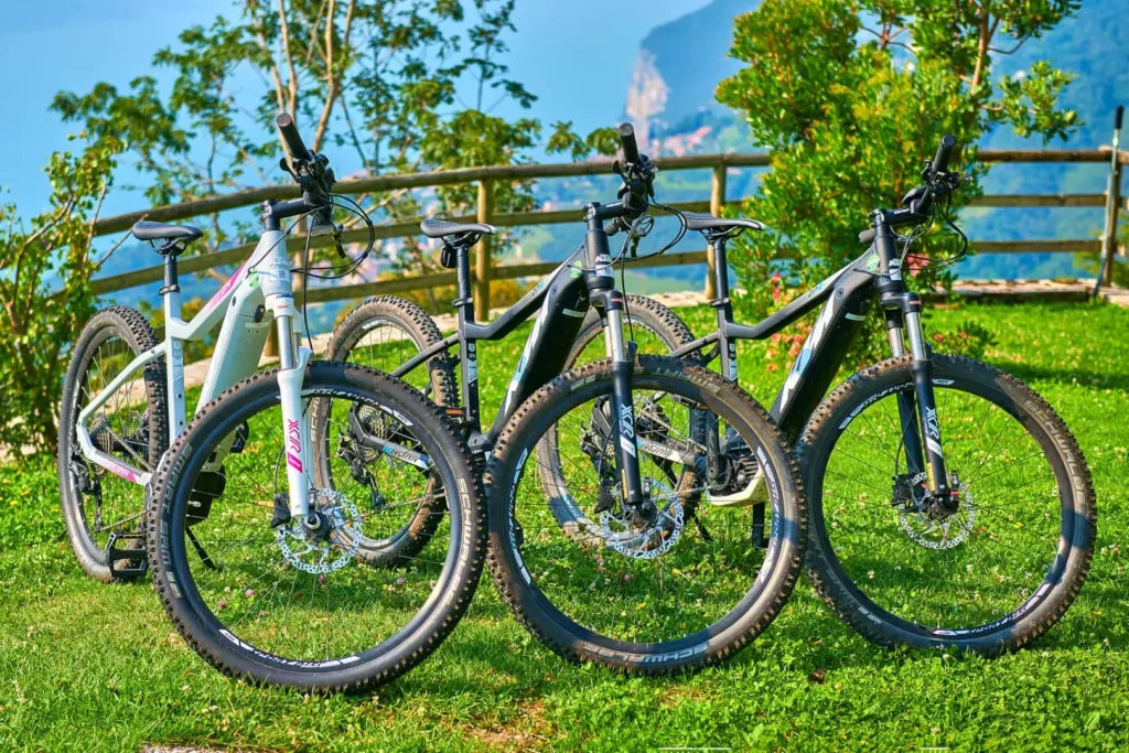 Biciclette mountain bike su erba con panorama.