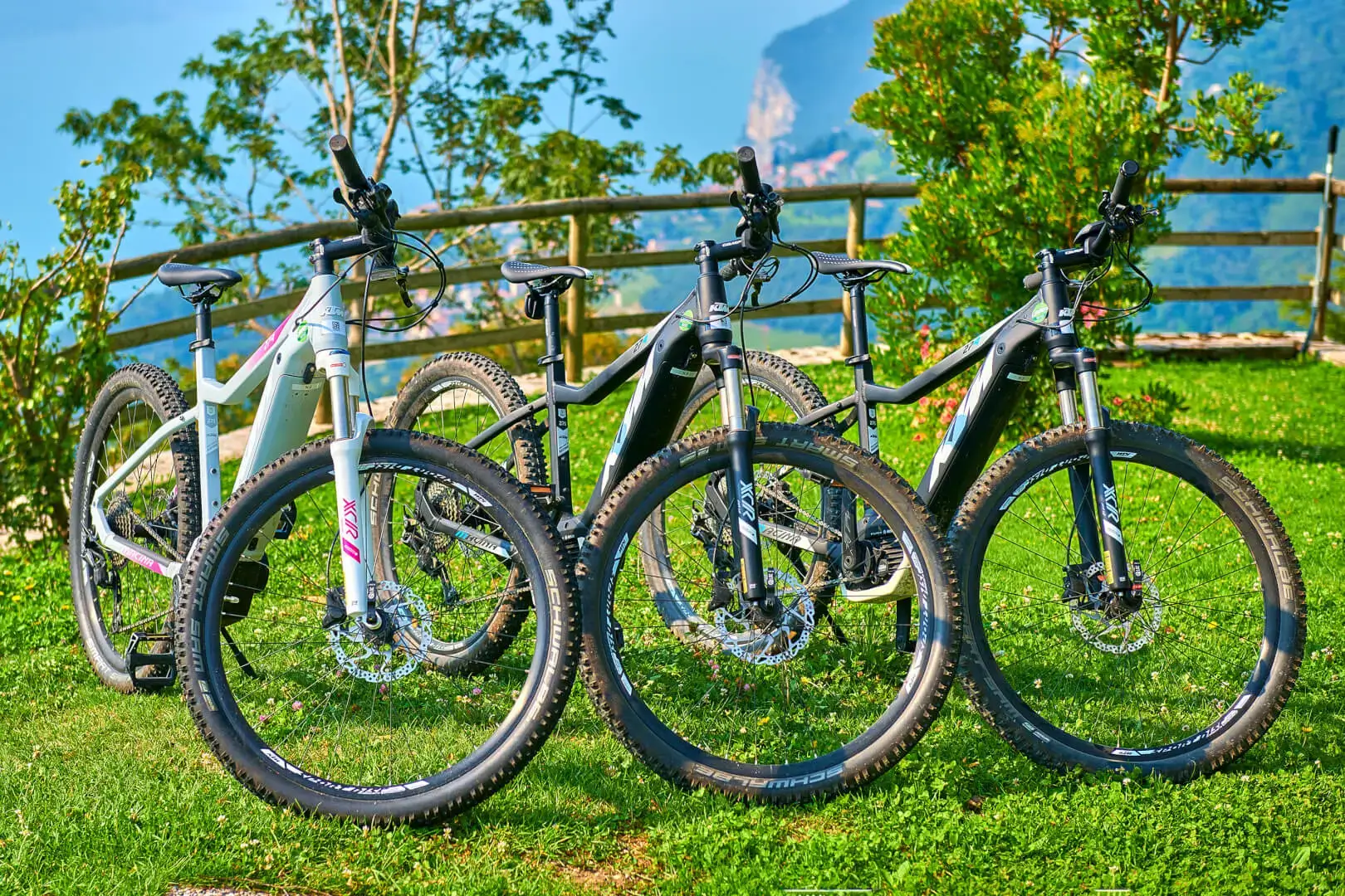 Biciclette mountain bike su erba con panorama.